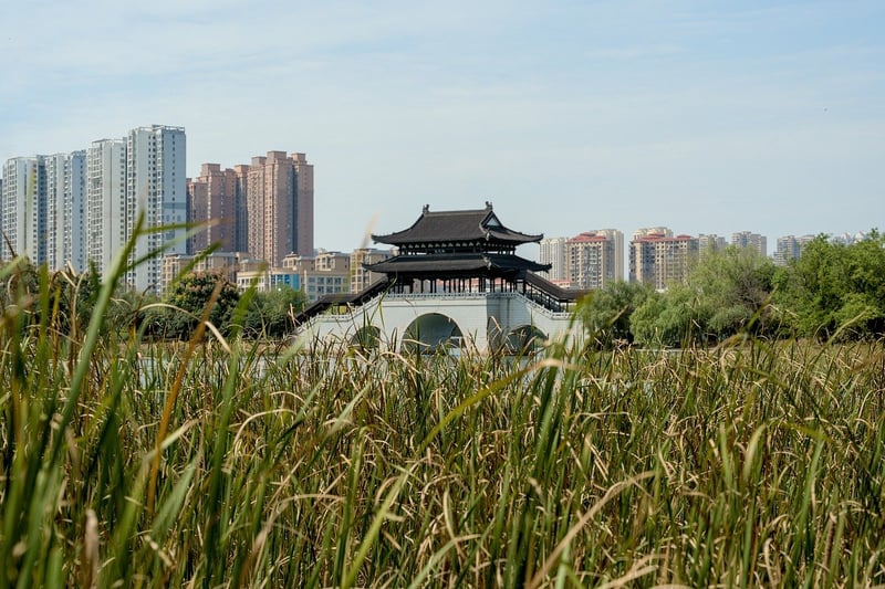 Urban Gardens