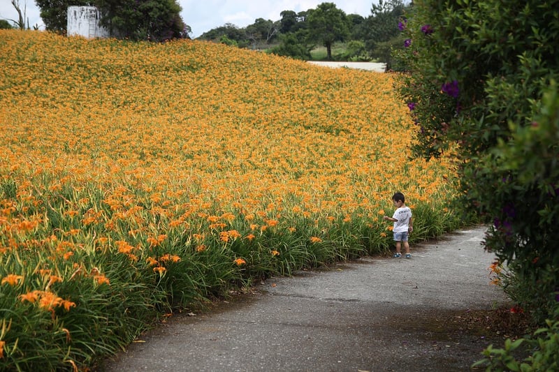 Garden Pathway